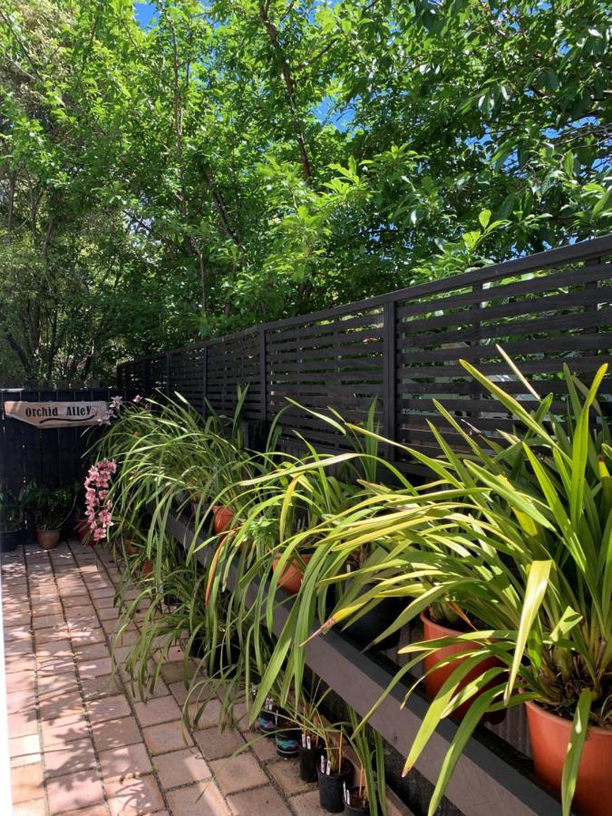 Twin Oaks Quiet Cottage Paraparaumu Esterno foto